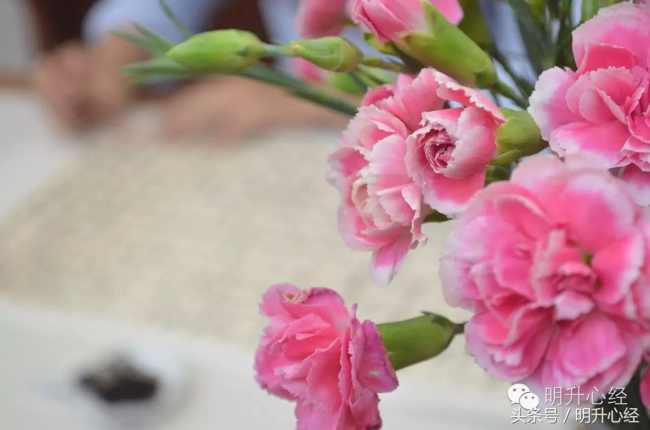 孩子成绩下滑导致焦虑怎么开导,孩子成绩差怎么教育和疏导