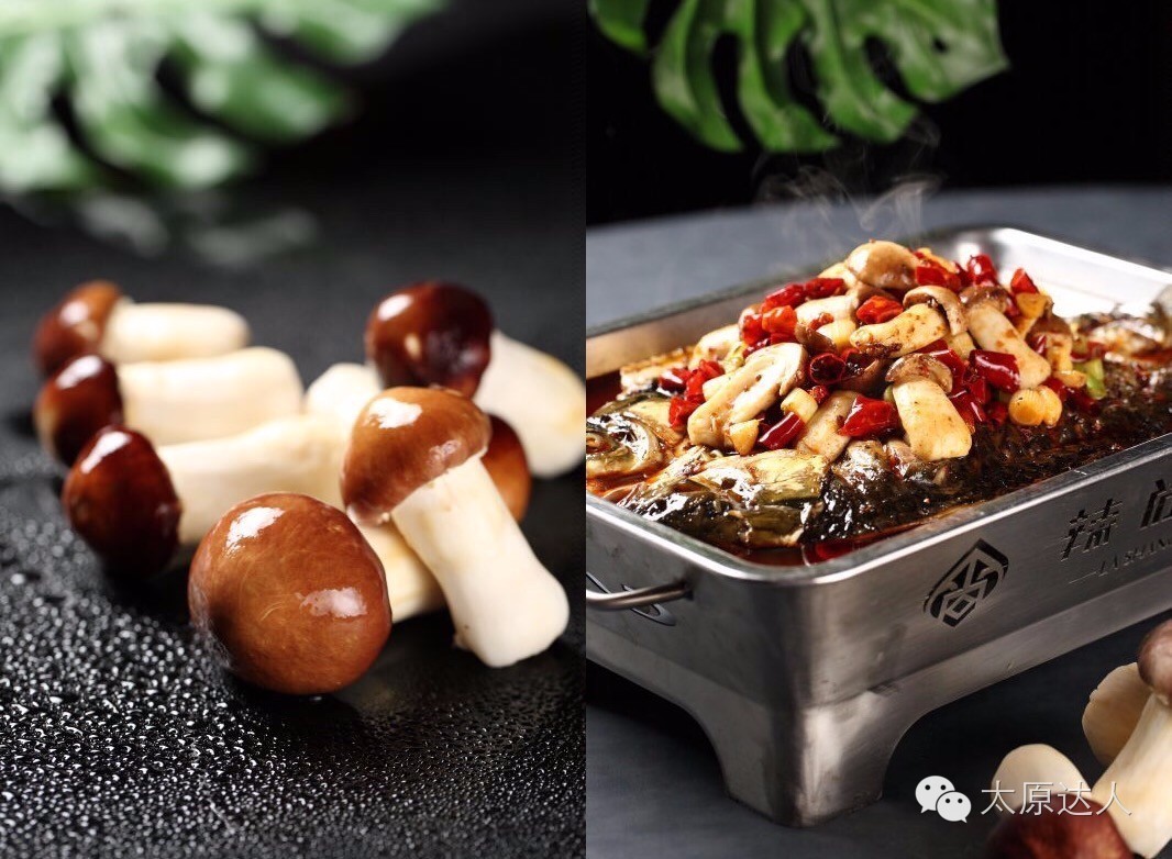 据说寻味儿找到这家店｜都是太原吃货届的扛把子（内含福利）