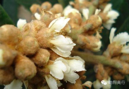 带你吃遍云霄美食,舌尖上的云霄