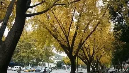 满城尽带黄金甲京剧,满城尽带黄金甲由什么改编