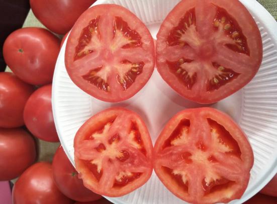 机器人专利创业大赛,大学生智能机器人创业大赛