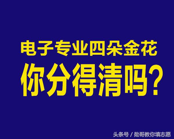 专业研究电商产品,专业研究七星彩分析