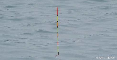 抓顿口调漂技巧图解,抓顿口最快的方法