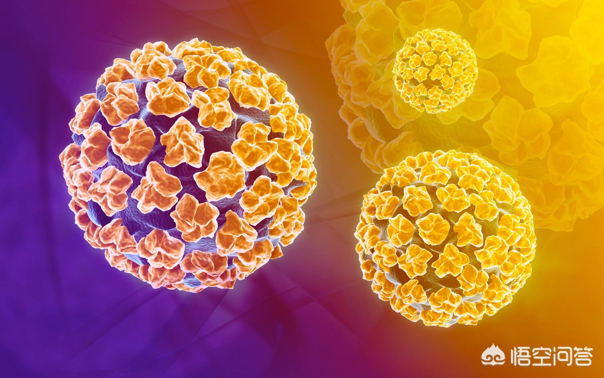 hpv24分型基因全部为阴性,hpv基因分型检测全部阴性