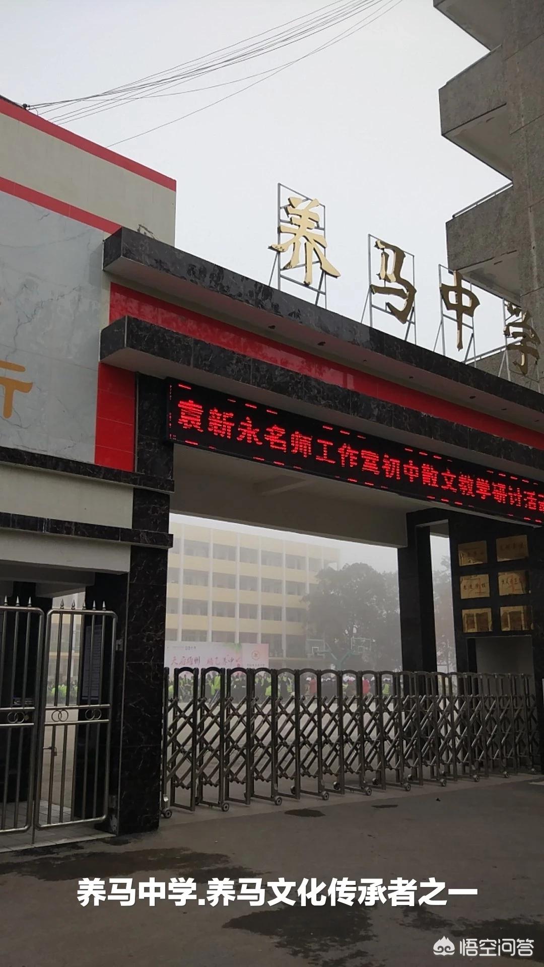 成都东进简州新城,简州新城养马镇松树湾村最新规划