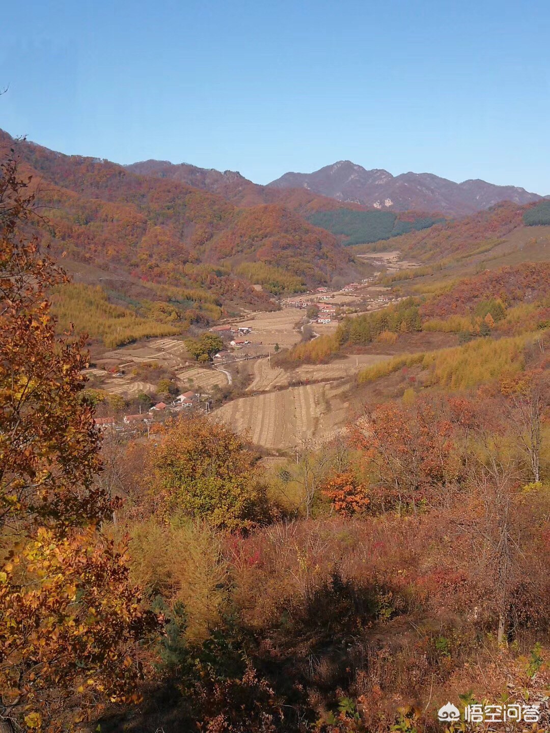 年终奖发少了怎么找老板谈,年终奖少怎么和老板说