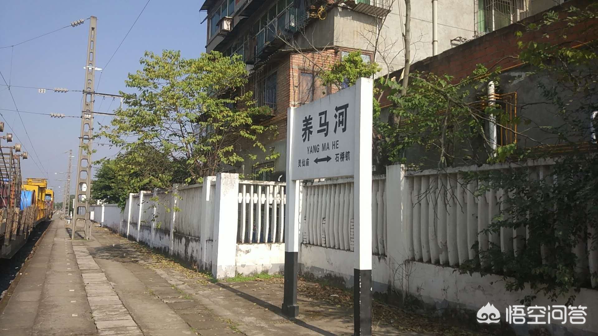 成都东进简州新城,简州新城养马镇松树湾村最新规划