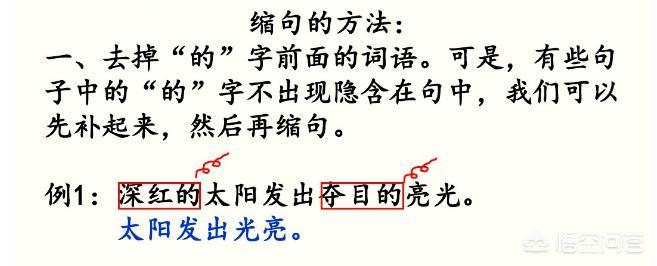 小学五年级语文成绩差怎样辅导,五年级语文怎么补习最有效