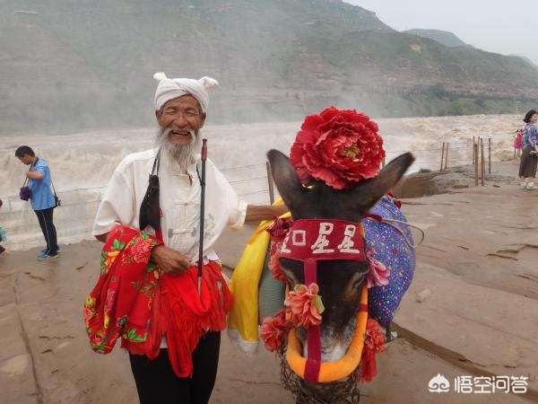 山西壶口瀑布住宿攻略,山西壶口瀑布景区门票