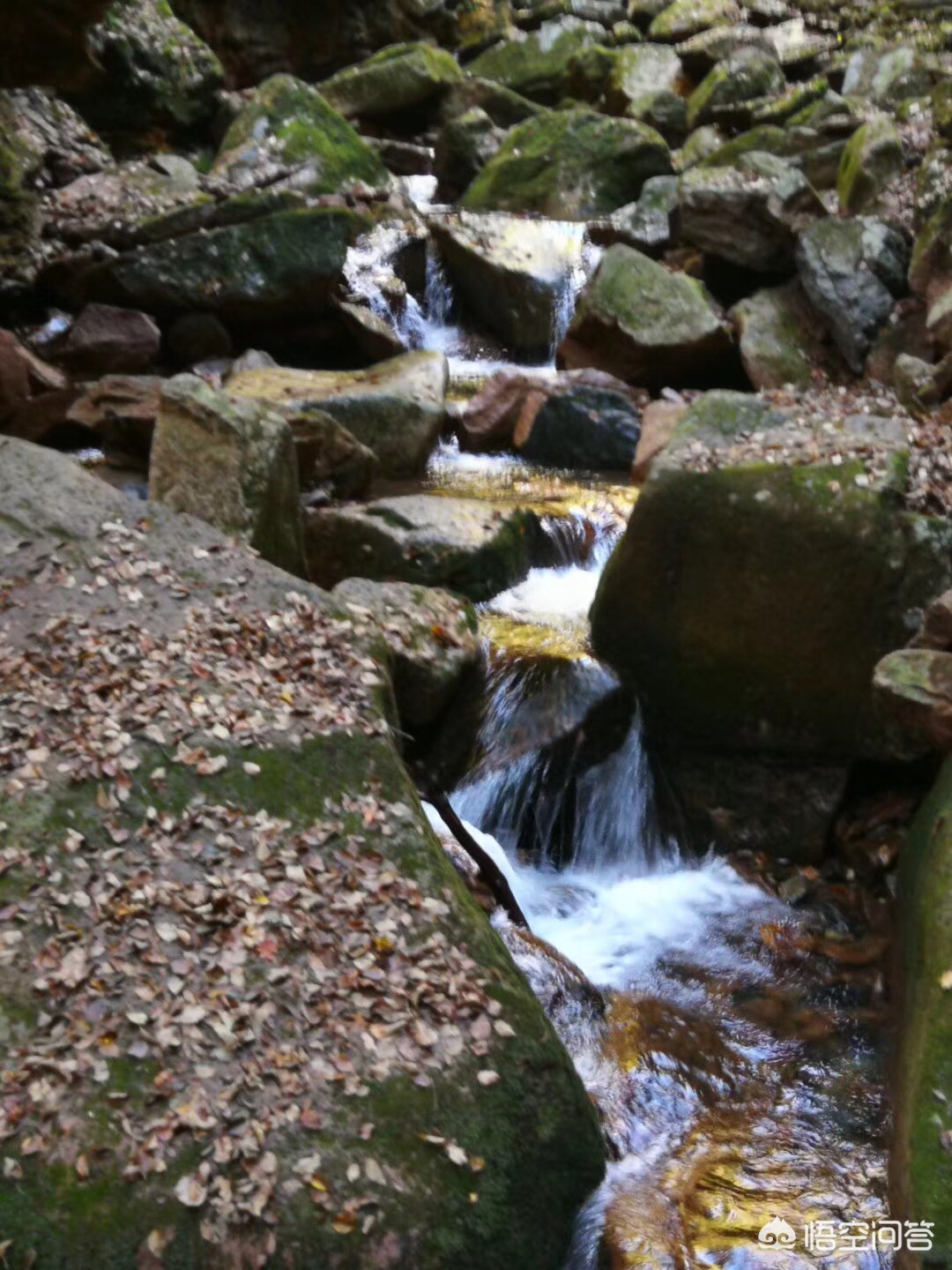 年终奖发少了怎么找老板谈,年终奖少怎么和老板说