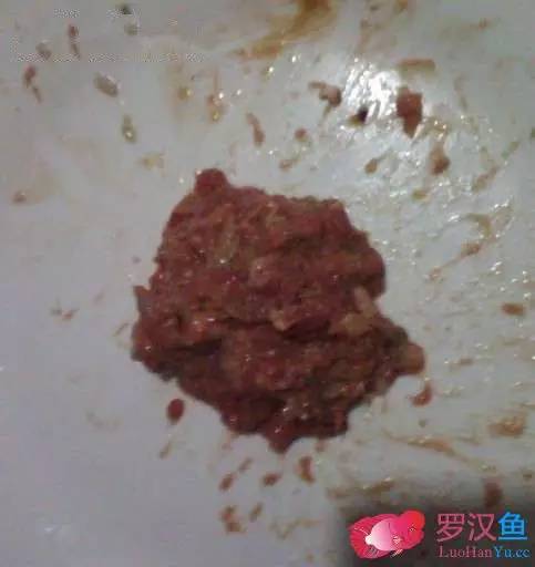 罗汉鱼常备用药,罗汉鱼药饵用什么药好