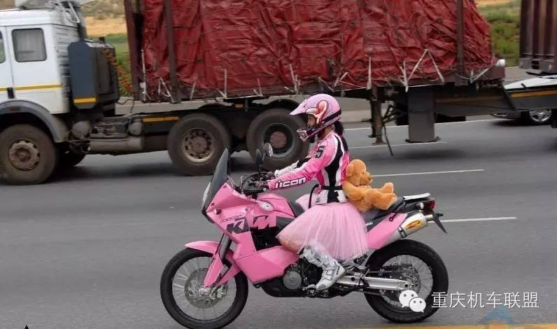 我为什么要骑自行车,我为什么要骑公路车