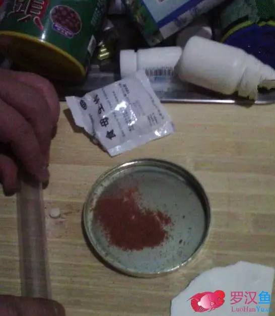 罗汉鱼常备用药,罗汉鱼药饵用什么药好