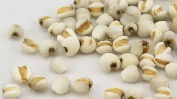 经常嗳气拉肚子怎么回事,经常肚子疼拉肚子怎么回事