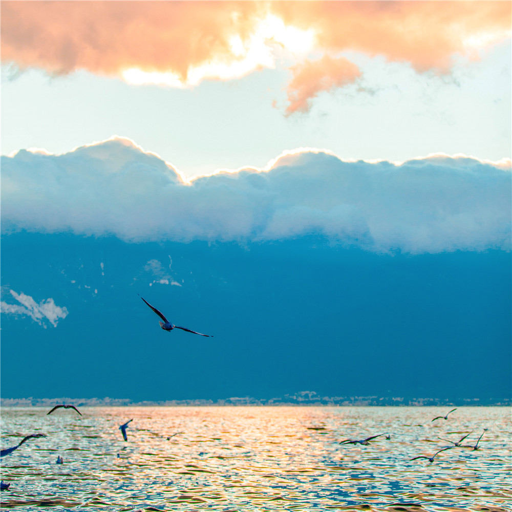 世上除了生死都是小事图片带字,世上除了生死都是小事别为难自己