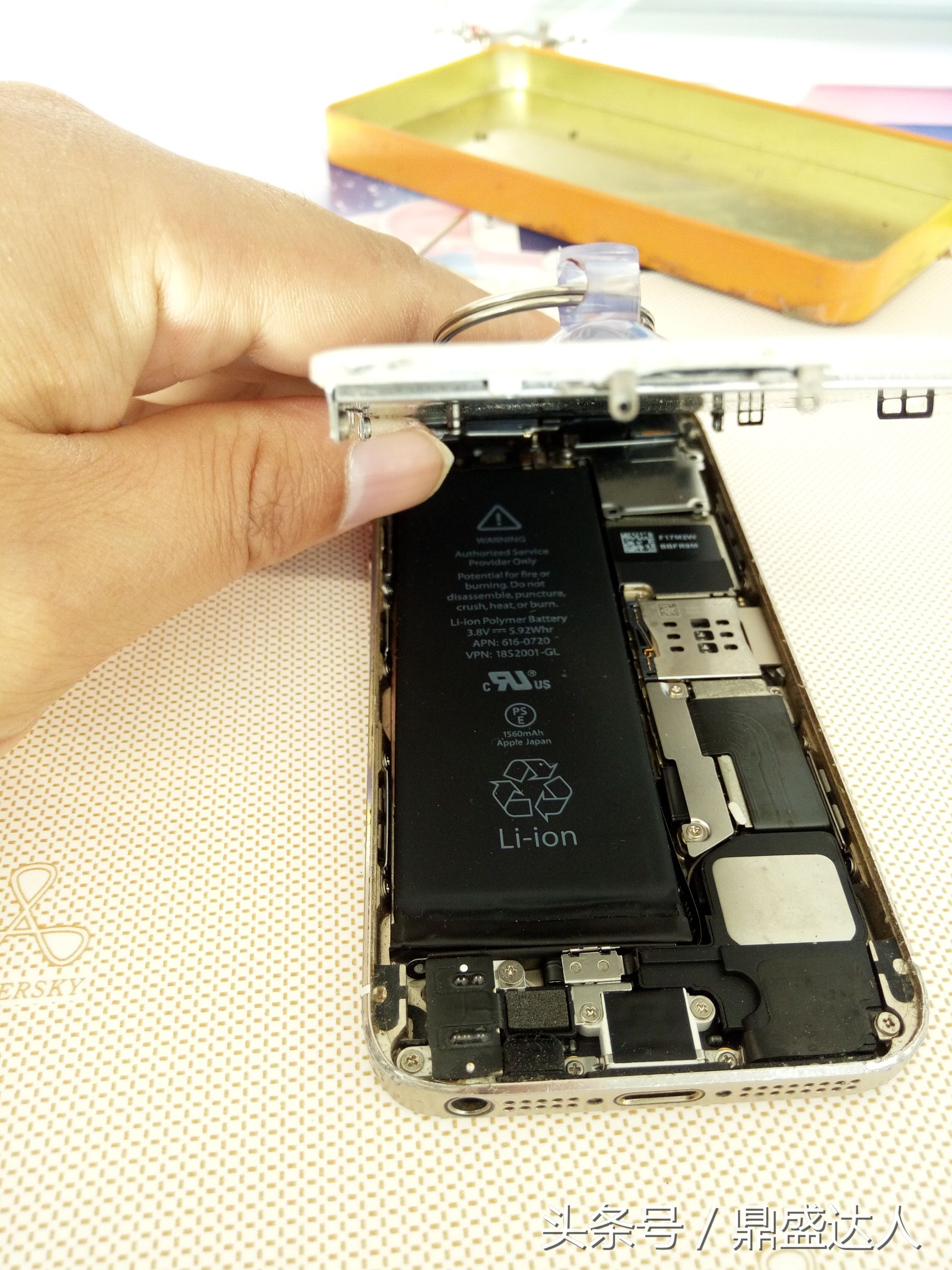 5s换壳教程视频,苹果5s拆机视频换屏幕