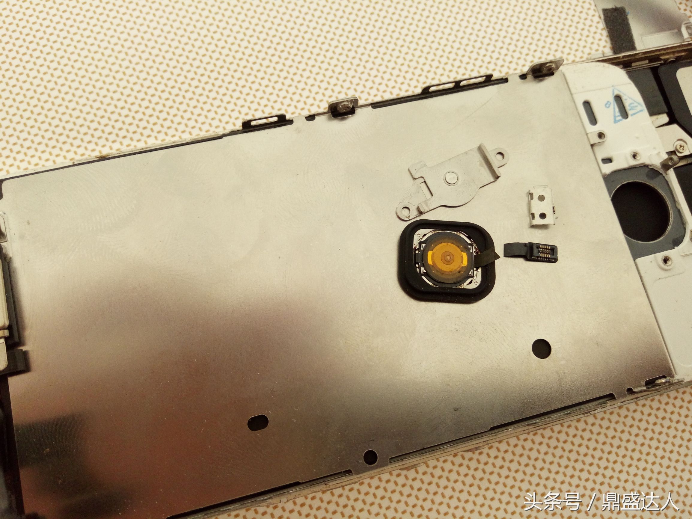 5s换壳教程视频,苹果5s拆机视频换屏幕