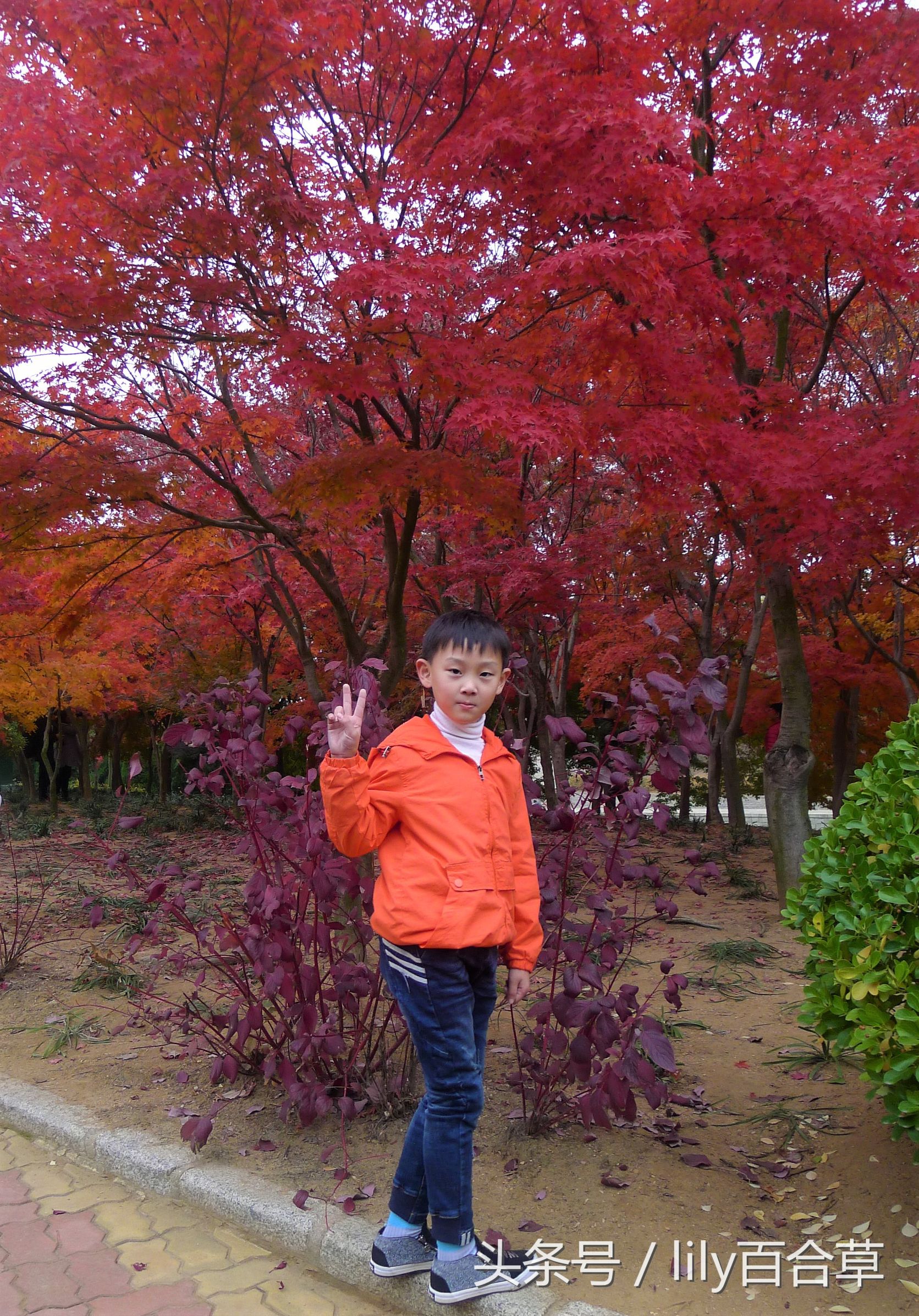 鬼马少年完整版,鬼马少年系列