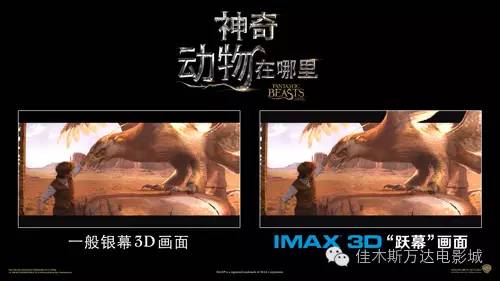 *今条头日**IMAX零点首映《神奇动物在哪里》带给我们的是跃幕