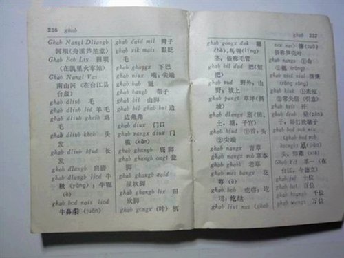 奇闻趣事：贵州人为什么哈说湖北“宜昌方言”！？在线君最新解谜