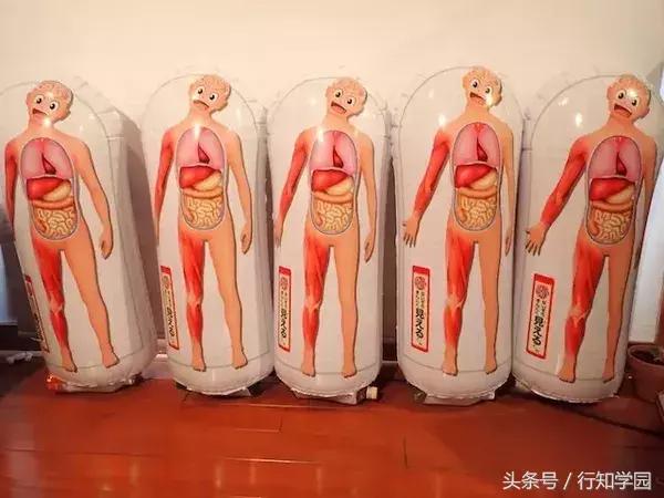 小学生杂志的附录太厉害了，一个手滑买了12本