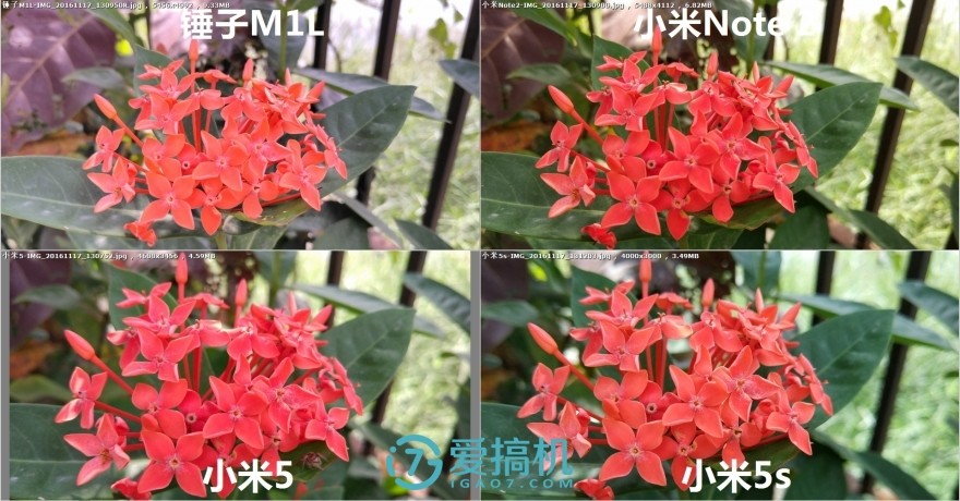 锤子m1l对比红米note4x,小米6x与锤子m1l