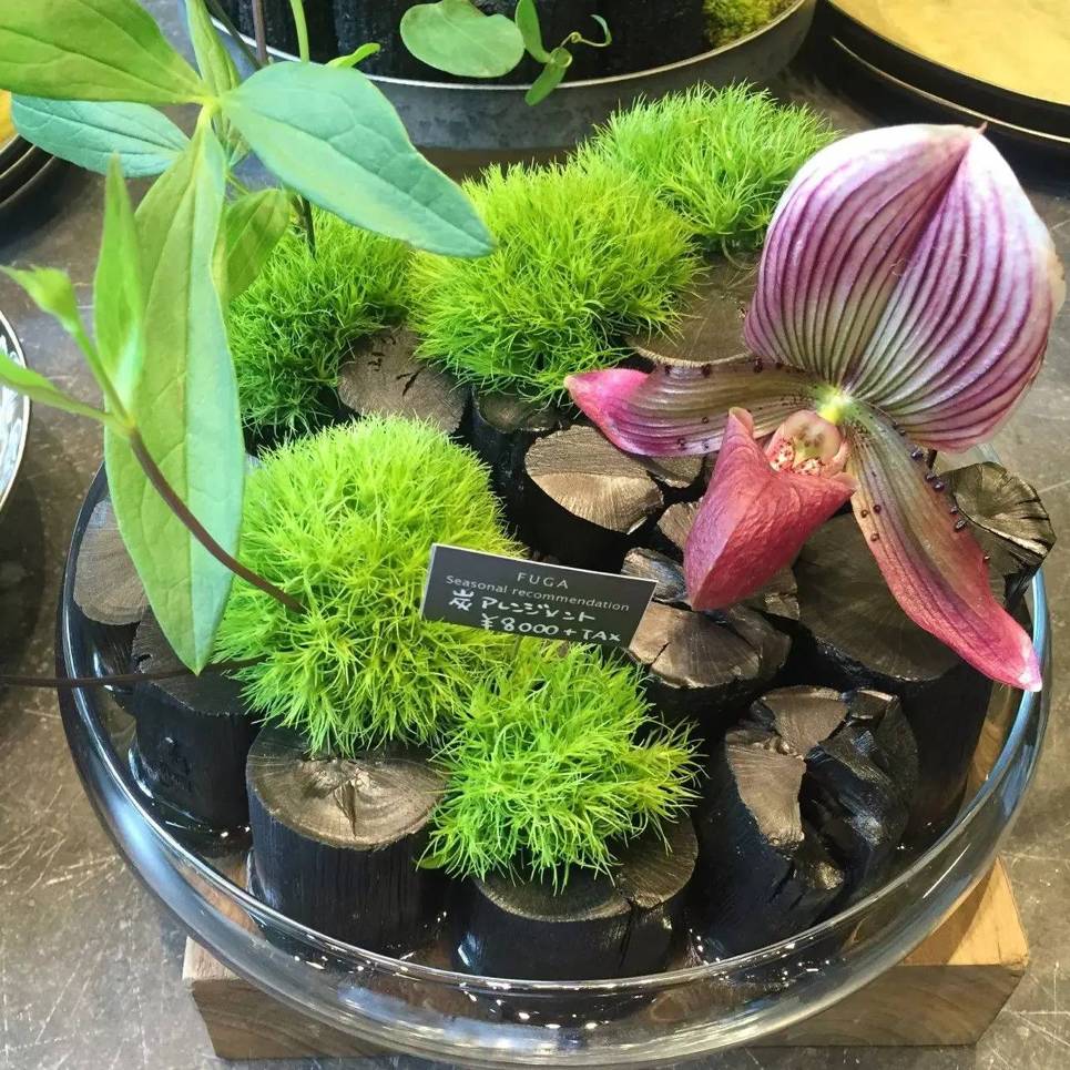 东京花店,东京南青山花店