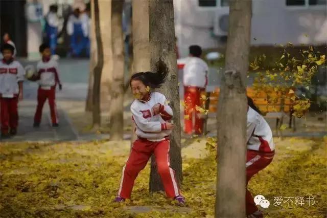 美呆了！被银杏包围的北京育英学校，在这里学习都是一种享受