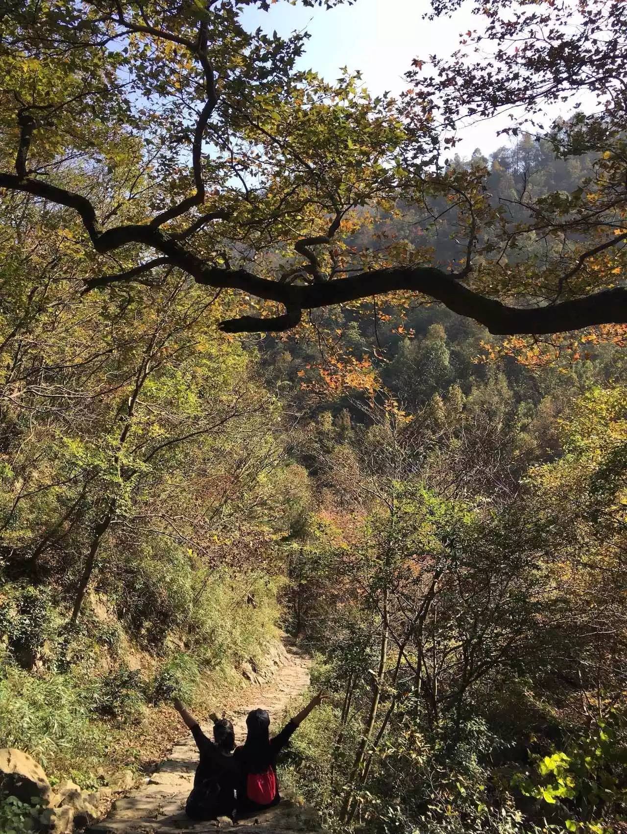 奉化溪口镇栖霞古道,宁波奉化旅游攻略完整版