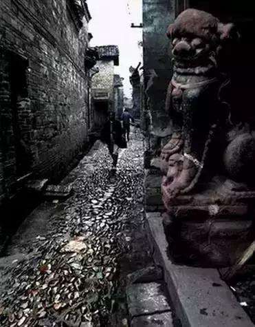 这个村庄一千年前建了个生态下水道，全村至今不淹水，生物还活着