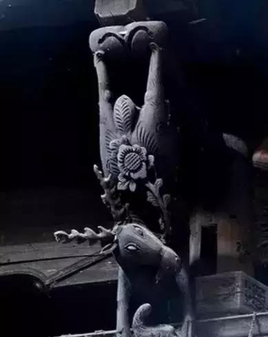 这个村庄一千年前建了个生态下水道，全村至今不淹水，生物还活着