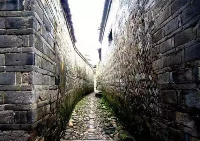 这个村庄一千年前建了个生态下水道，全村至今不淹水，生物还活着