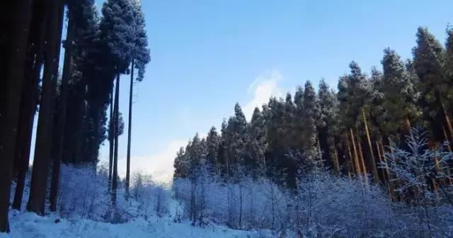 成都冷空气十足,四川成都冷空气来袭