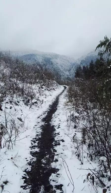 成都冷空气十足,四川成都冷空气来袭