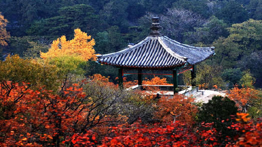 南京值得去玩的地方不需要预约,南京哪些地方不推荐去旅游