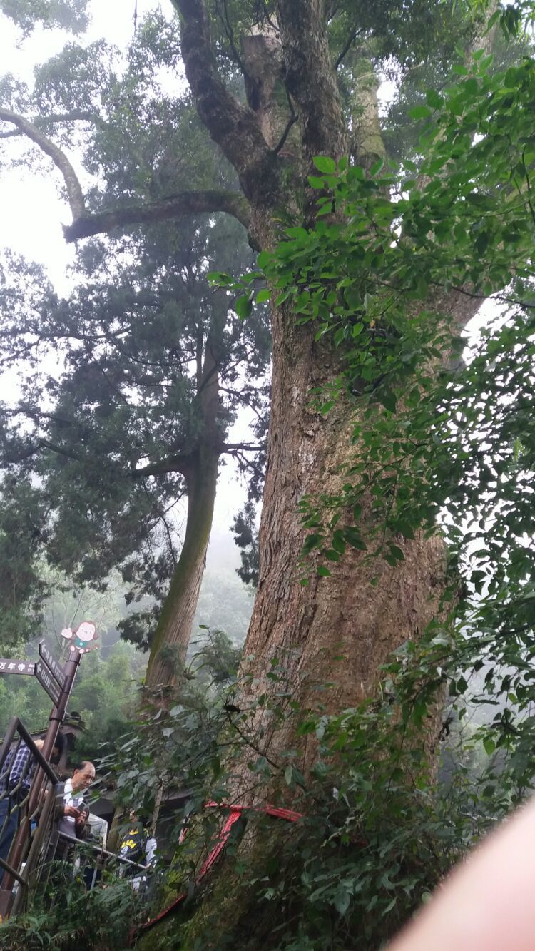 四大佛教名山四川峨眉山介绍,峨眉山