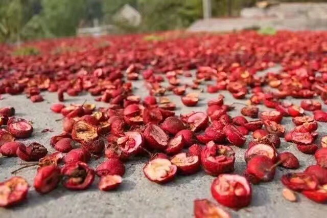 山楂怎么吃才能不伤胃,山楂怎么喝对胃好