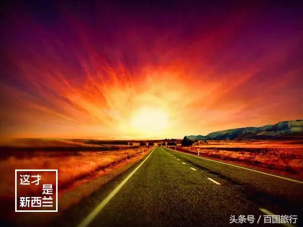 新西兰美到让人窒息,新西兰哪里最美
