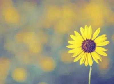 尖锐性湿疣会造成癌症吗,尖锐性湿疣会导致哪种癌症