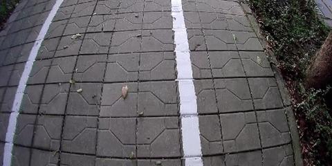 dod行车记录仪开机就显示语言选择,dodqx6行车记录仪