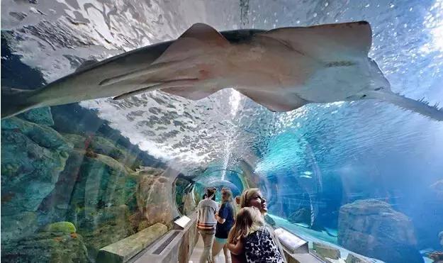 惠济万达销售额,惠济万达营业额