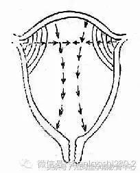 孕期怎么分辨假性宫缩,孕期胎动怎样辨别好坏