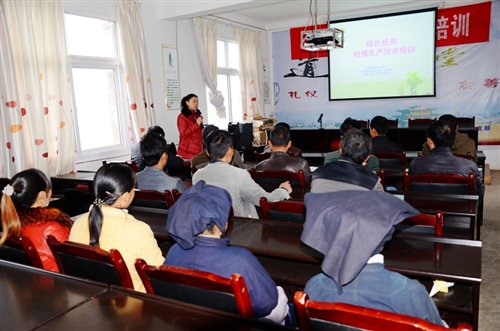 奇闻趣事：贵州人为什么哈说湖北“宜昌方言”！？在线君最新解谜