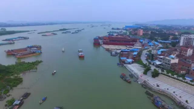 山塘三人龙舟冠军,清远市山塘胜利三人龙舟赛