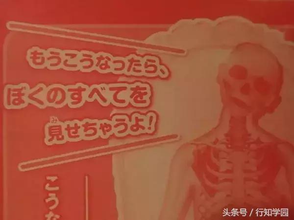 小学生杂志的附录太厉害了，一个手滑买了12本