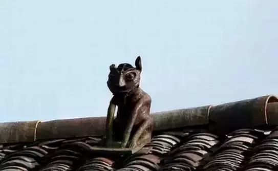 这个村庄一千年前建了个生态下水道，全村至今不淹水，生物还活着