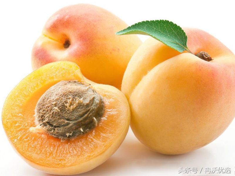 甘肃敦煌的水果杏,甘肃李广甜杏