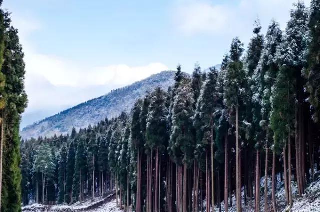 成都冷空气十足,四川成都冷空气来袭