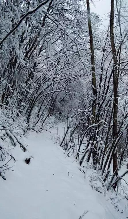 成都冷空气十足,四川成都冷空气来袭