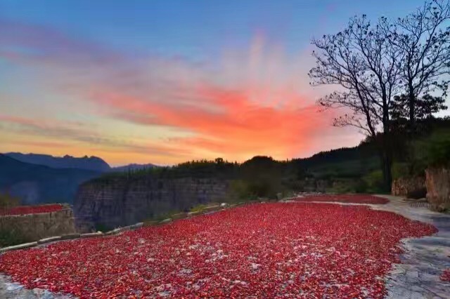 山楂怎么吃才能不伤胃,山楂怎么喝对胃好